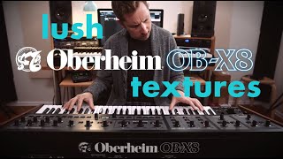 lush OBERHEIM OBX8  Strymon soundscapes [upl. by Margit]