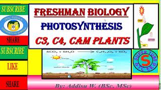 freshman generalbiology chapter4 part3 photosynthesis calvincycle lightreactionnewcurriculum [upl. by Delcine327]