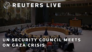 LIVE UN meets on Gaza crisis as famine looms [upl. by Holtz836]