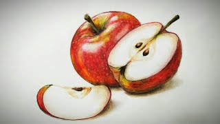 How to draw realistic apple  How to draw Freehand drawing [upl. by Tillford]