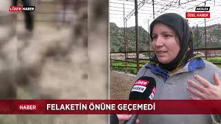 Sel hayvanları telef etti [upl. by Okeim]