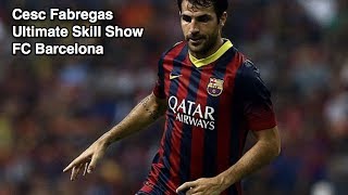 Cesc Fabregas  Ultimate Skill Show  FC Barcelona  HD [upl. by Ulises753]