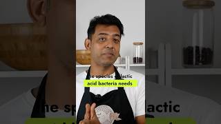 Lactofermentation explained in 20 secs probiotics fermented foodscience kitchenhacks [upl. by Hanahsuar]