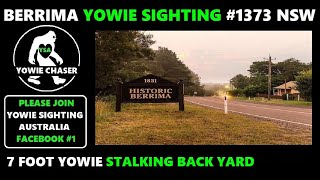 YOWIE SIGHTINGS BERRIMA 1373 NSW [upl. by Anitsirhcairam]