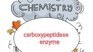 carboxypeptidase enzyme MSc [upl. by Assital357]