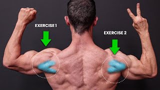 The ONLY 2 Exercises You Need for Rear Delts NO SERIOUSLY [upl. by Arretahs]