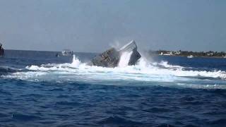 Kittiwake Sinking HD voted best video [upl. by Trenton]