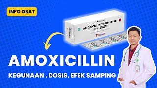 Obat AMOXICILLIN  Kegunaan Dosis Efek Samping [upl. by Ylle]