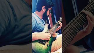 Cort KX508MS 8 String Electric Guitar test  demo  Double Drop D tuning [upl. by Lahey]