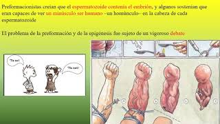 Historia de Biologia del DesarrolloBIOPEDIA [upl. by Alicec]