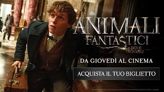 Animali Fantastici e Dove Trovarli  dal 17 Novembre al cinema [upl. by Einaoj]