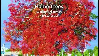 Flame Trees PrestwichWalker for SOTU 658 [upl. by Nellir]