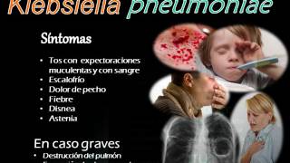 Video Clase Klebsiella [upl. by Strawn]