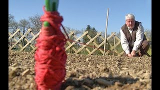 SEMIS DES LÉGUMES PRÉCOCES AU POTAGER COMMENT BIEN LES RÉUSSIR [upl. by Ahseyn]