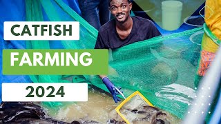 CATFISH FARMING GUIDE FOR BEGINNERS IN 2024  ALL You Need To Know [upl. by Anaitak227]