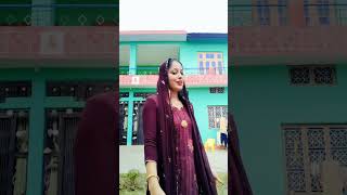 Himachali song viralvideo everyone himachlidance [upl. by Joela]