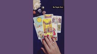 Message for your love life 💖  hindi tarot reading collective [upl. by Bennett]