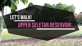 Lets Walk Upper Seletar Reservoir [upl. by Aenotna33]