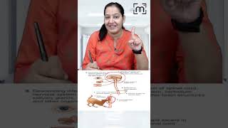 1 minute learning Rabis Pathogenesis  MedLive  Dr Priyanka Sachdev [upl. by Letch409]