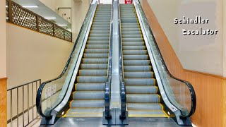 【レア エスカレーター シンドラー製】バロー あかのれん内田橋店 昇り 1→2階 Schindler Escalator at Kanesue Uchidabashi store in Japan [upl. by Raynor831]