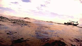 Whale Shark Swim and Ixlaché Reef Snorkeling  Isla Contoy México [upl. by Zoes431]