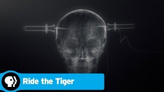 RIDE THE TIGER  The Benefits of Electroconvulsive Therapy  PBS [upl. by Ikilisav925]