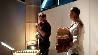 Skogsblommor valse trad Finlande performed by Eric Schuermann and Martin Rychener [upl. by Eidac]