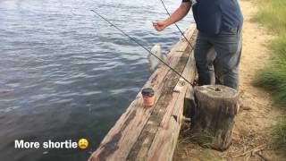 Flounder Fishing In New Jersey [upl. by Ahseiyt]