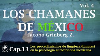 Cap 13 Los procedimientos de limpieza limpias en la PAM  LOS CHAMANES DE MÉXICO Vol 4 [upl. by Koosis149]