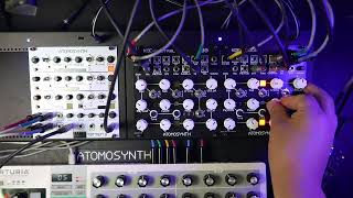 AtomoSynth Koe Ladder  Koe Vactrol Jam [upl. by Cirri675]