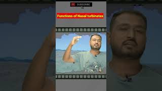 Functions of Nasal Turbinates  Dheeraj Kumar education humanhealth humanbiology neet health [upl. by Draneb]