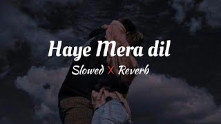 Haye Mera Dil  Slowed amp Reverb [upl. by Nalak984]