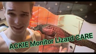 2023 How to CARE for ACKIE Monitor Lizard [upl. by Enimasaj571]