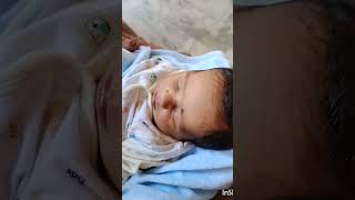 Glabellar tap primitive reflexnewborn cute celebration ayurveda primitive trendingshort [upl. by Anirrehs103]