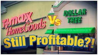 Can TJ Maxx And Dollar Tree Still Be Profitable In 2024 As They Were In 2020 [upl. by Quin690]