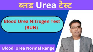 What is Urea Blood Test in Hindi  Normal Range amp High Value Explained  Kidney Test [upl. by Smalley740]