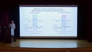 Zachary Mainen Fundação Champalimaud Serotonin and the regulation of neural inference and learning [upl. by Esoryram23]