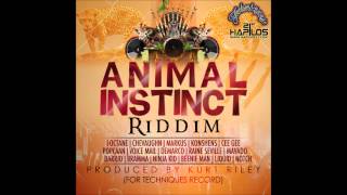 GALLIS ANTHEM KONSHENS  THANK GOD FI DI GAL DEM  ANIMAL INSTINCT RIDDIMKURT RILEY JAN 2013 [upl. by Nitaj]