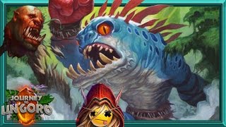 Turn 5 Megafin New Murloc Shaman is OP [upl. by Ahsemaj632]