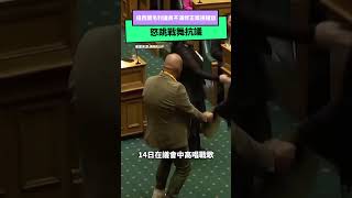 國會不打架！紐西蘭毛利議員不滿修正案損權益 怒跳戰舞抗議｜NOWnews 毛利 紐西蘭 國際新聞 [upl. by Petunia]