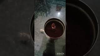 Decoction for filter coffee [upl. by Olzsal]