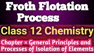 FROTH FLOTATION PROCESS  Important 💯 Topic   Class 12 Chemistry in  Hindi [upl. by Eustashe]