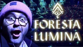 Foresta Lumina  De la magie au Québec une découverte incroyable [upl. by Ynaffet186]