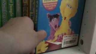 THROWBACK My 2019 Sesame Street dvd collection [upl. by Nedgo]