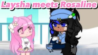 Laysha meets Rosaline [upl. by Stuckey]