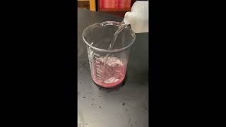 Biomedical Science  DNA Extraction from Strawberry  By Minh T T [upl. by Alvar]