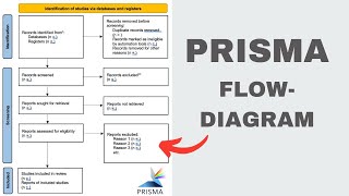 How to create a PRISMA FlowDiagram for systematic reviews 2024 [upl. by Winfield249]