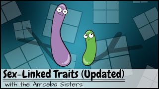 Punnett Squares and SexLinked Traits UPDATED [upl. by Elehcar]