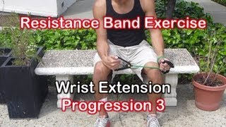 Resistance Band Exercises for Golf Elbow amp Tennis Elbow Tendonitis [upl. by Marron]