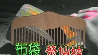 台灣奇案 EP030｜布袋蔡仙姑 [upl. by Rombert]